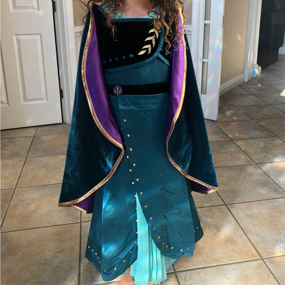 Elsa costume, excellent condition